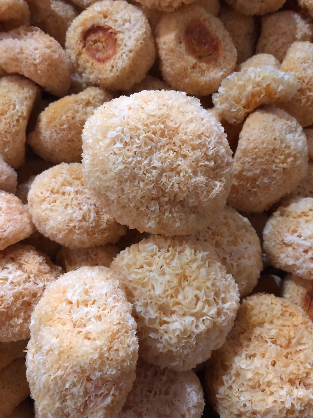 1583203222326051637.jpg 微信图片_20200303103936.jpg