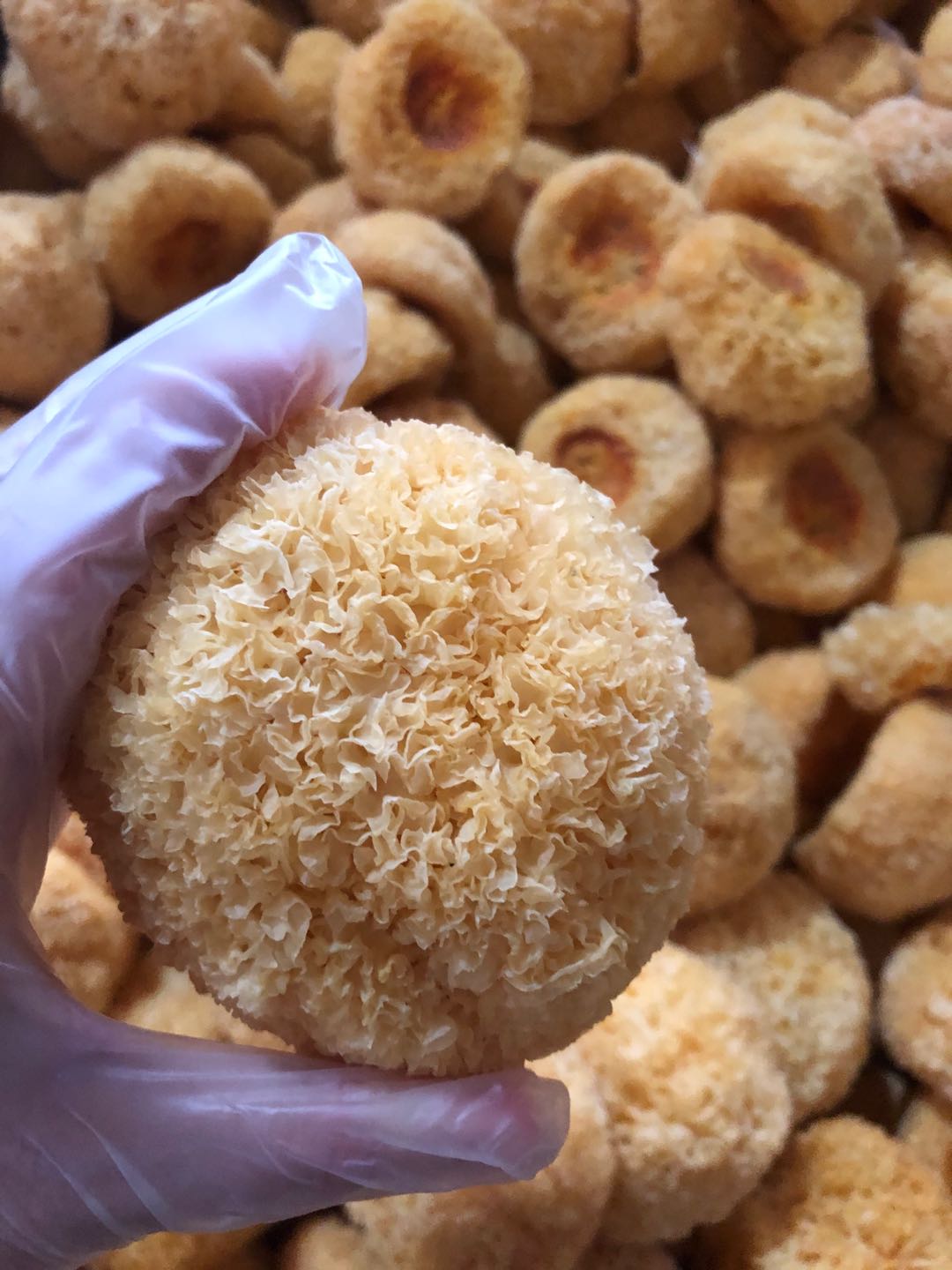 1583203227880069328.jpg 微信图片_20200303103940.jpg