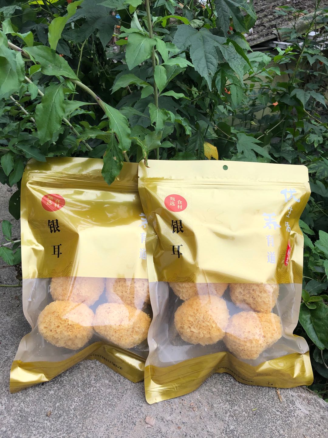 1583203233398088241.jpg 微信图片_20200303103947.jpg